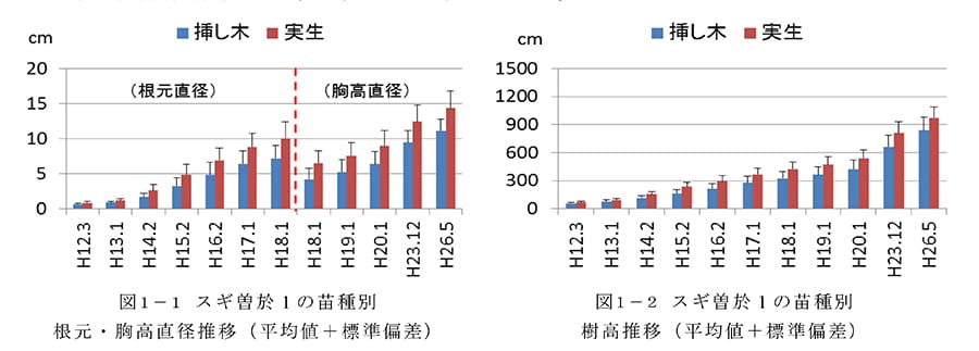 根元及び胸高直径並びに樹高について実生苗が優良なスギ系統の例(早良1)