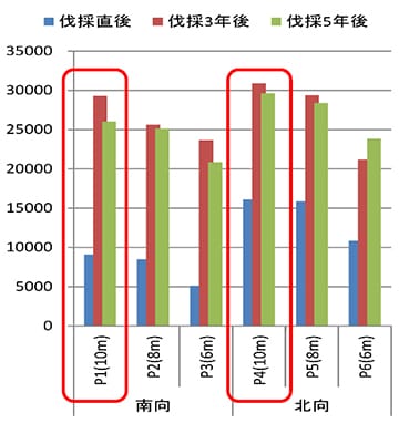 プロット別木本類発生本数の推移