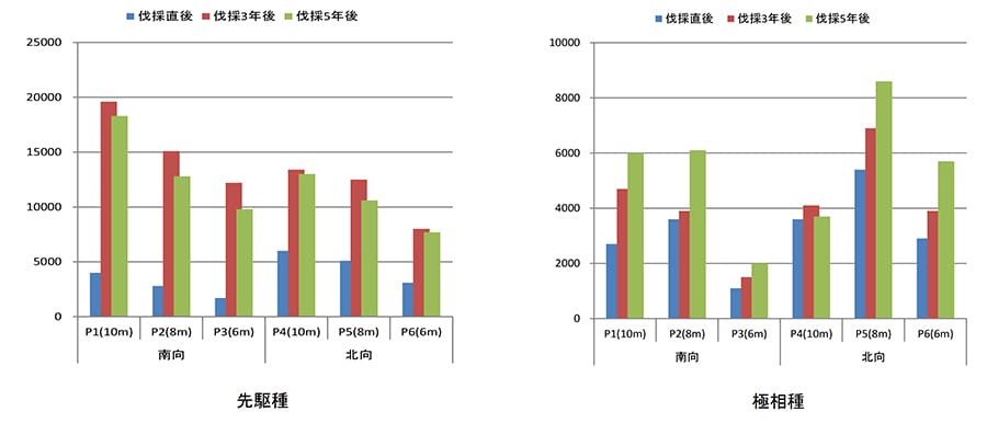 プロット別極相種の平均樹高の推移