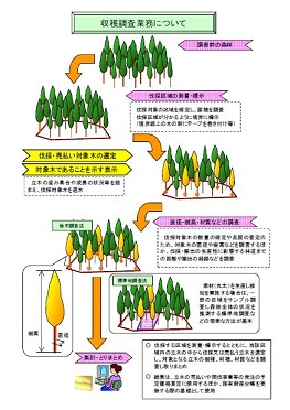 収穫調査の概略図