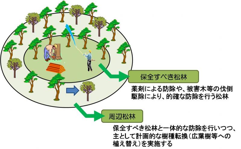 保全すべき松林と周辺松林