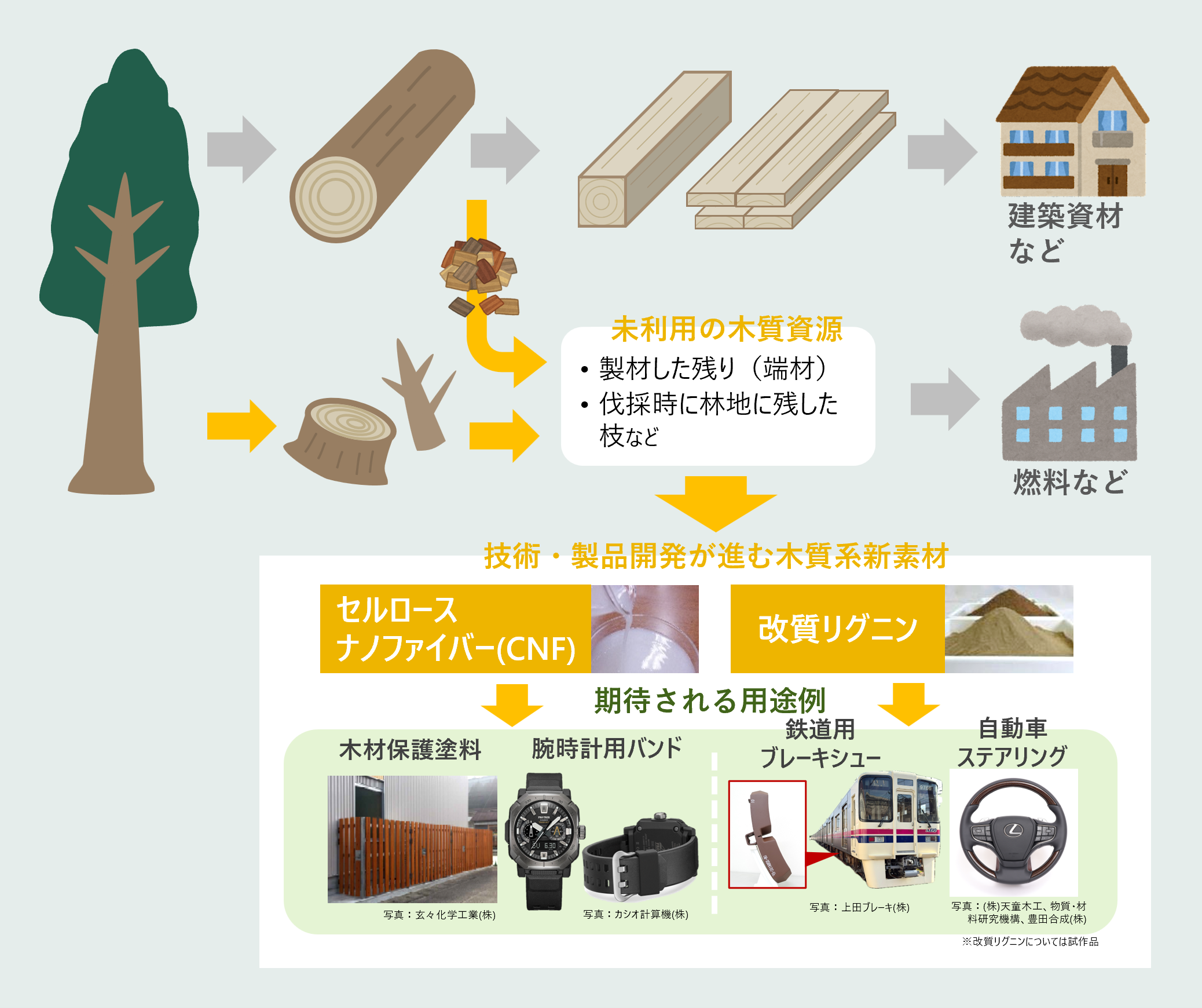 木質系新素材の説明図