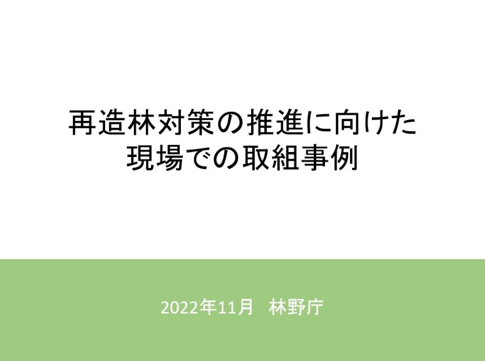 再造林対策の推進に向けた現場での取組事例表紙