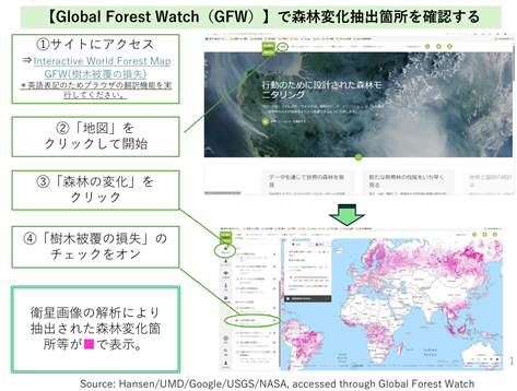 GFWによる森林変化箇所の確認方法