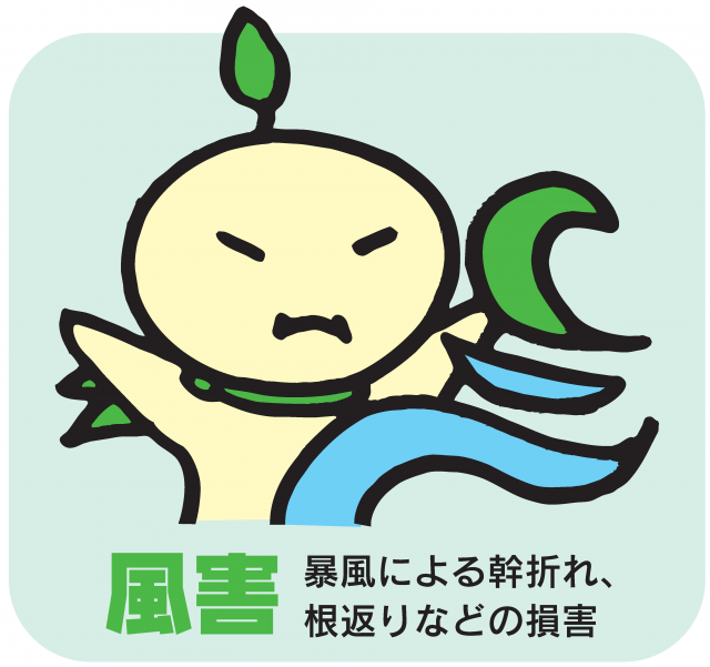 mfuugai