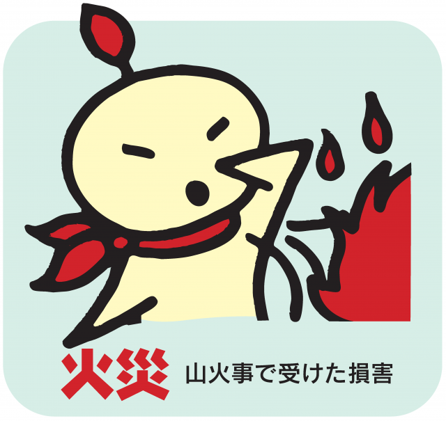 mkasai