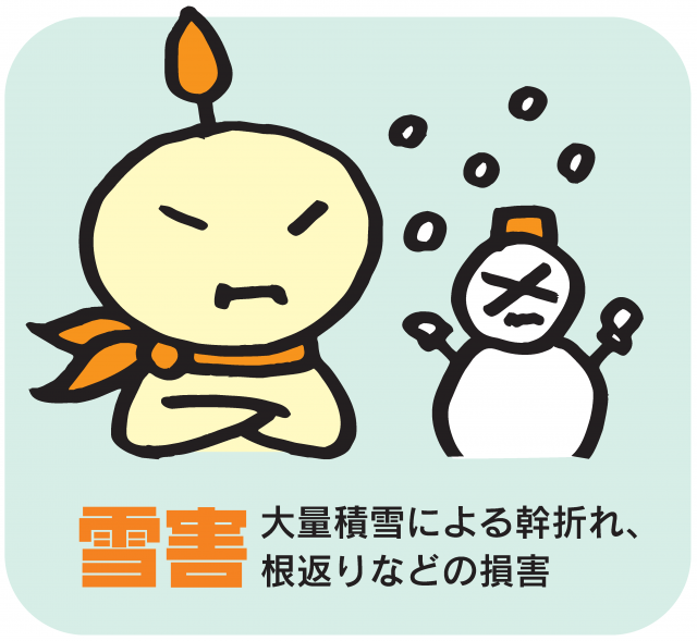msetsugai