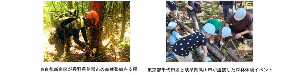 使途_自治体間連携(譲与税)