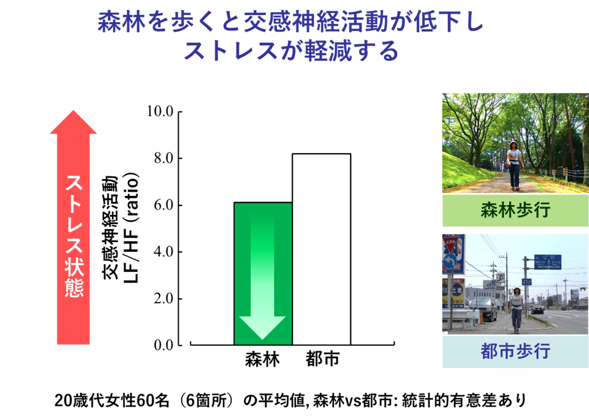 森林を歩くと交感神経活動が低下しストレスが軽減する