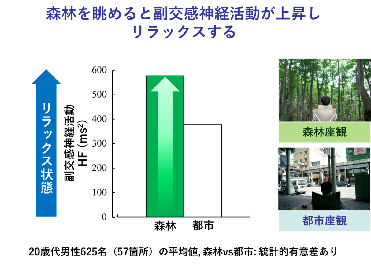 森林を眺めると副交感神経活動が上昇しリラックスする