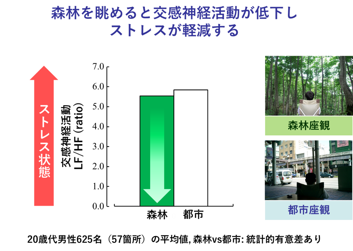 森林を眺めると交感神経活動が低下しストレスが軽減する