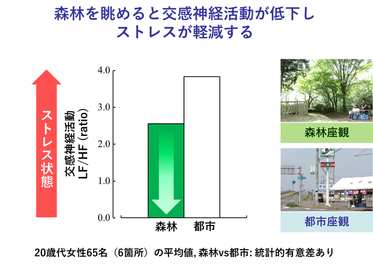 森林を眺めると交感神経活動が低下しストレスが軽減する
