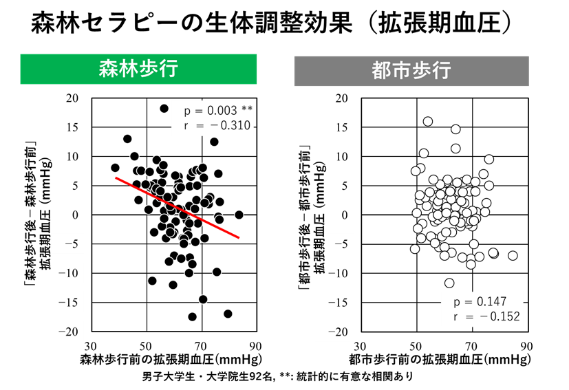 森林セラピーの生体調整効果（拡張期）