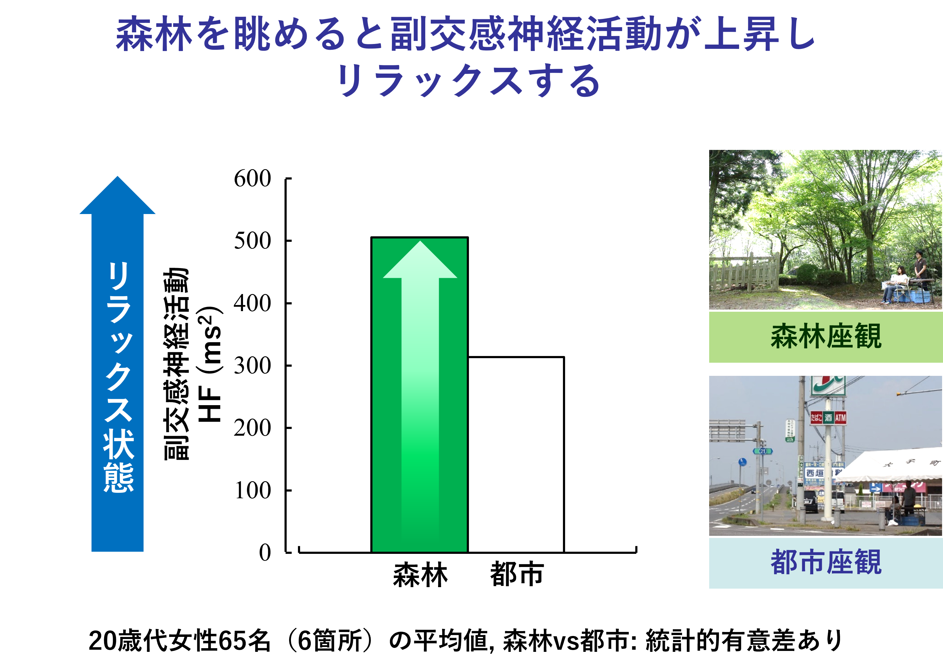 森林を眺めると副交感神経活動が上昇しリラックスする