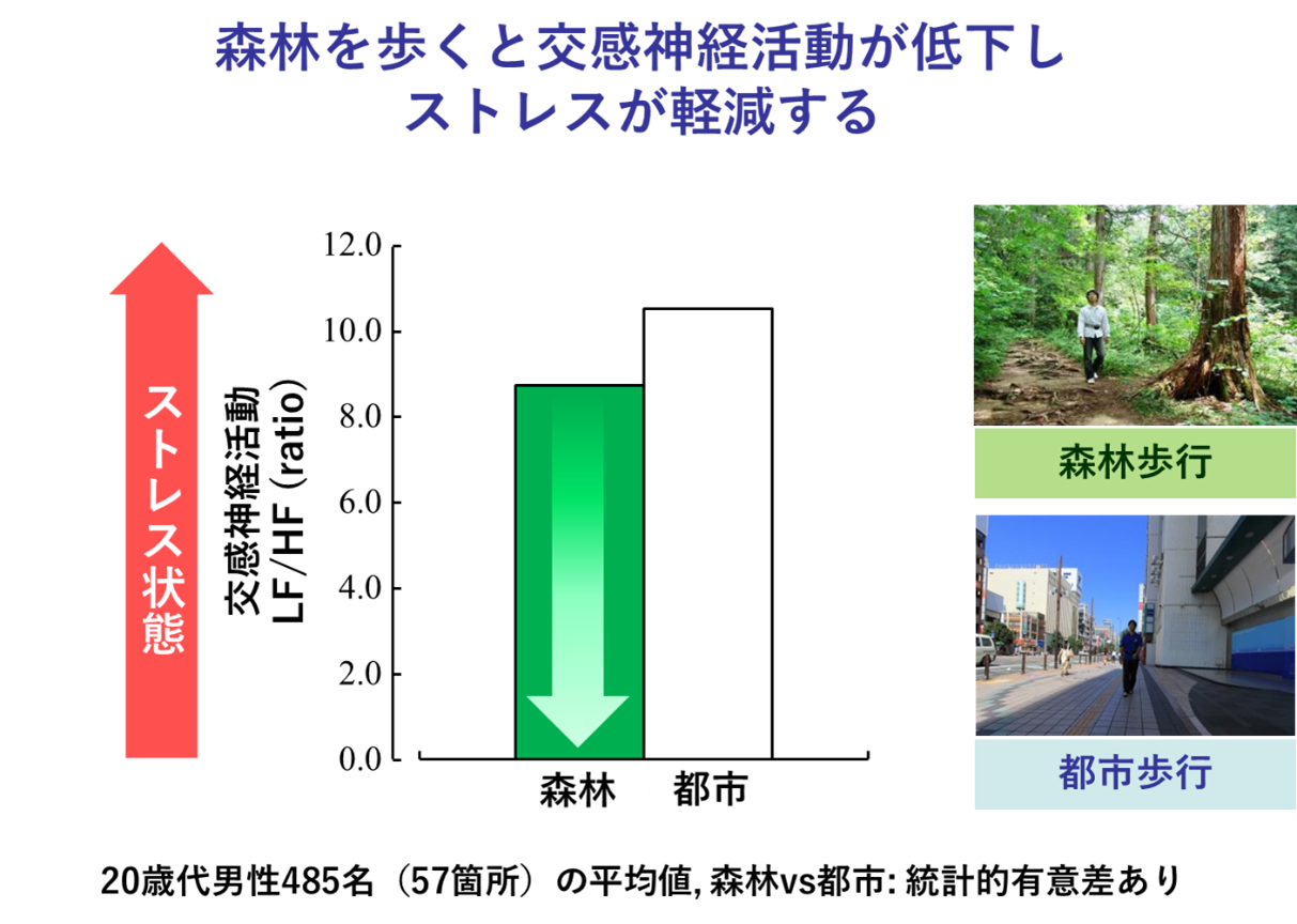 森林を歩くと交感神経活動が低下しストレスが軽減する