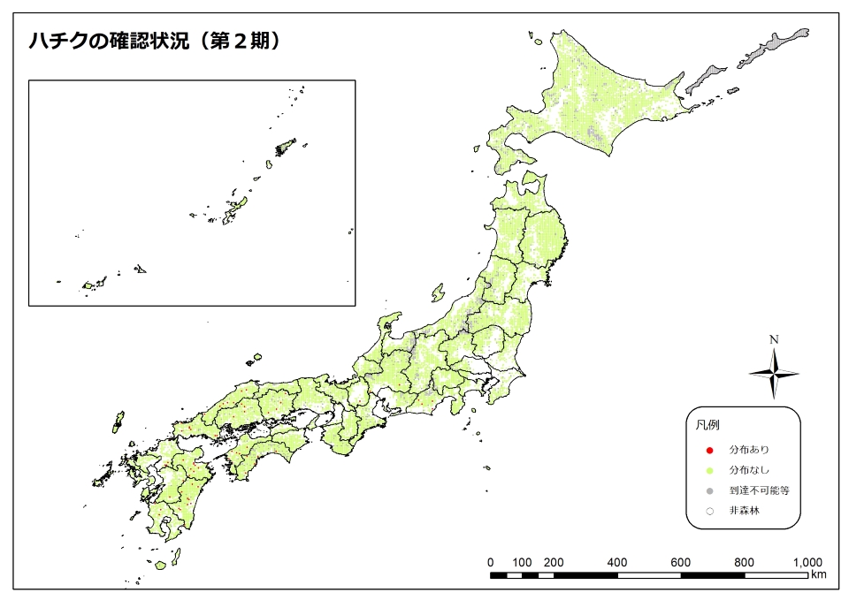 ハチク2期