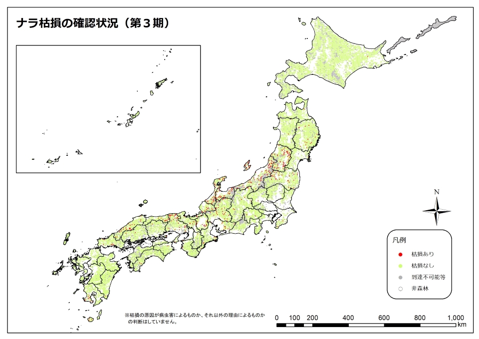 ナラ枯れ3期