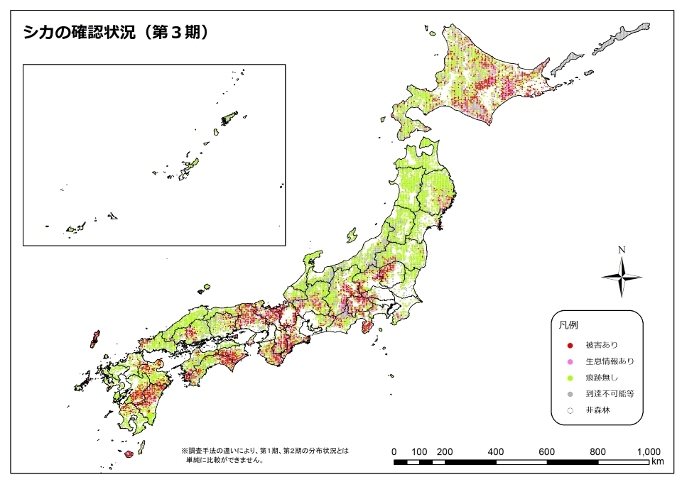 シカ3期