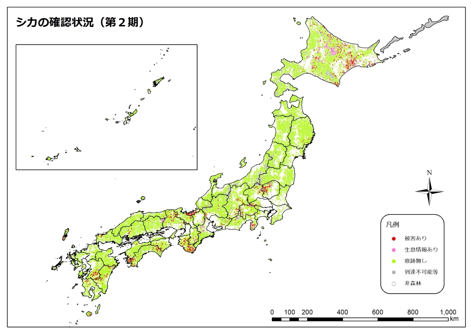 シカ2期