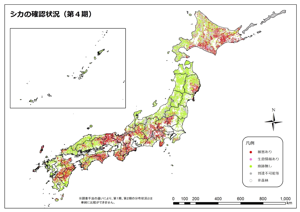 シカ4期