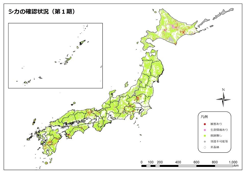 シカ1期