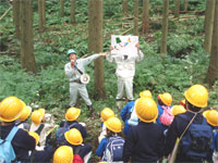 森林環境教育