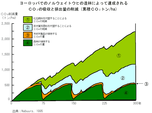 ヨーロッパでのノルウェイトウヒの造林によって達成されるCO2の吸収と排出量の削減