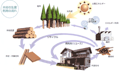 木材生産・利用の流れ