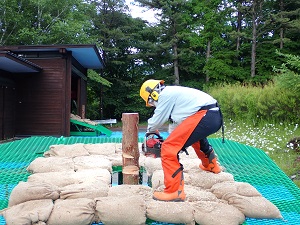 伐倒練習機による実習