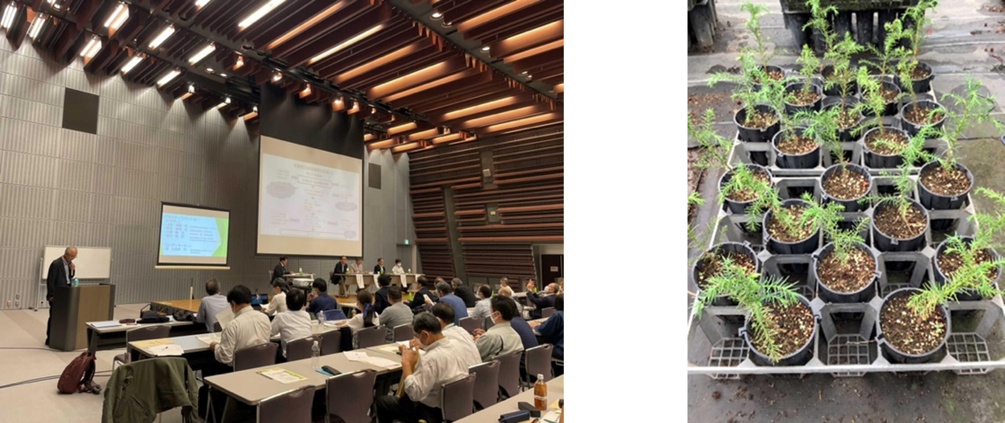 協同組合ウエル造林