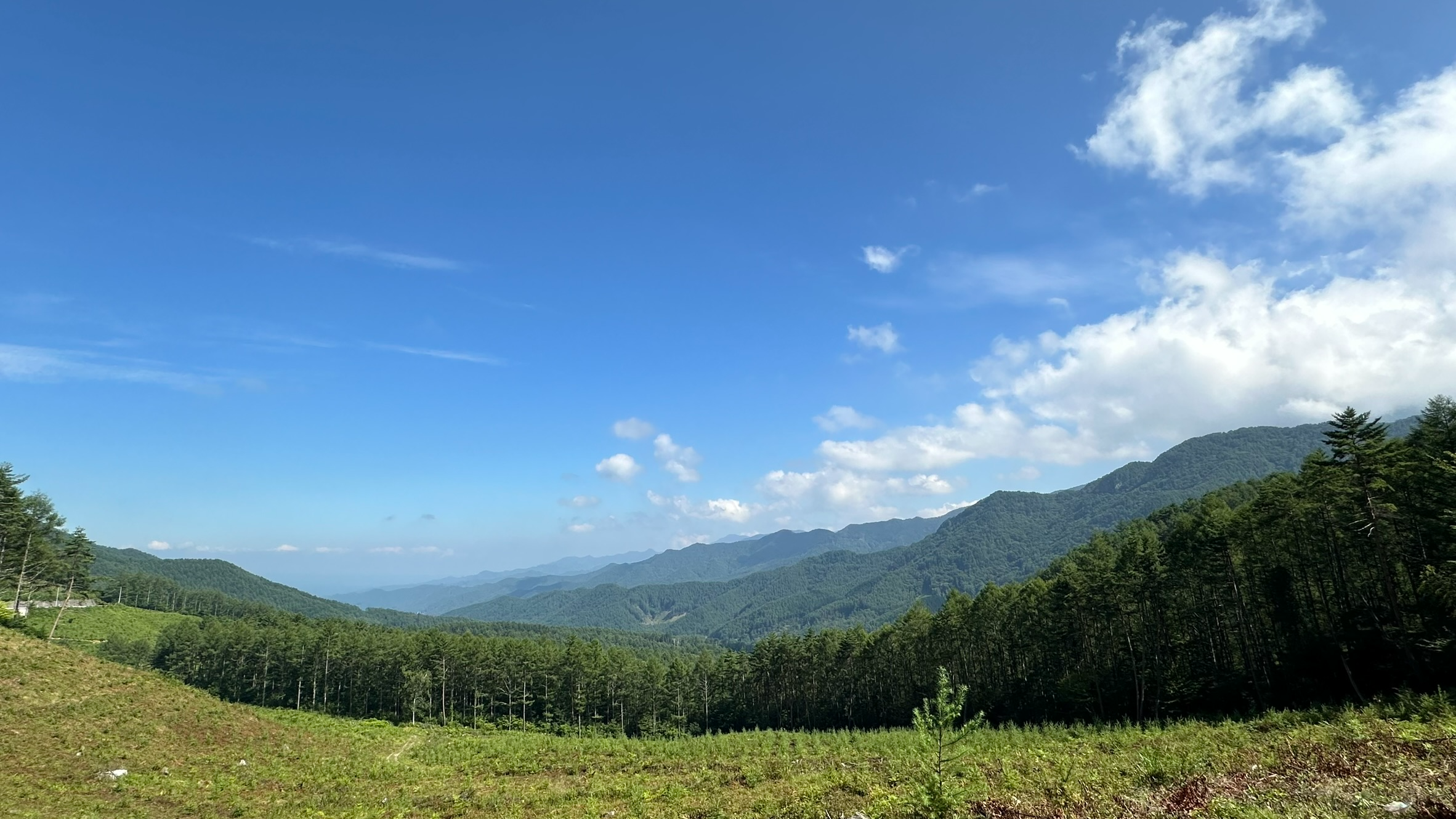 南相木村の森林