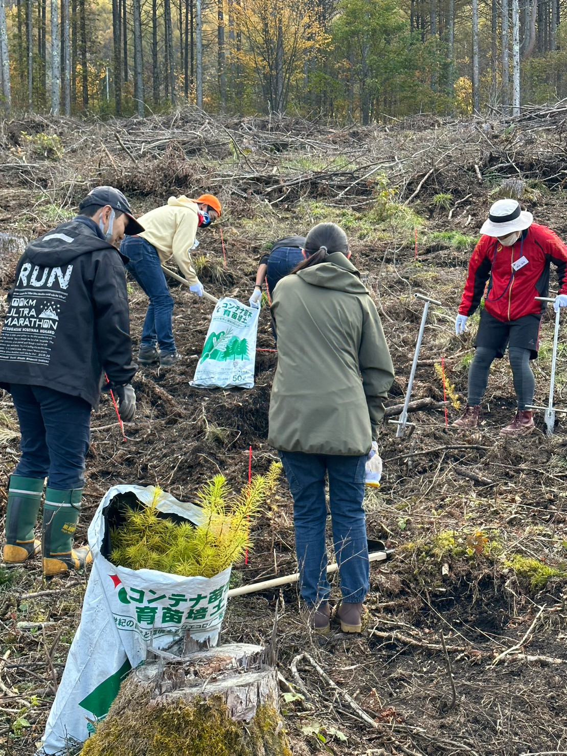 「セガサミーの森」での植栽活動