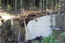 治山ダムによる流木の流出等の抑制効果の事例（兵庫県丹波市）