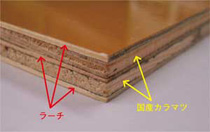 国産材型枠用合板の構成