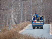 誘引されたシカを狙撃する様子