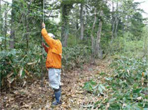 シカ侵入防護柵設置状況