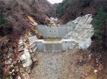 梨子沢に新たに設置された治山ダム