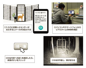 「伐採と造林の一貫作業システム」と従来の手法の労働投入量比較