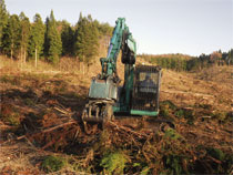 伐採と造林の一貫作業システム事業地での地拵えの様子