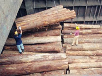 輸出される木材
