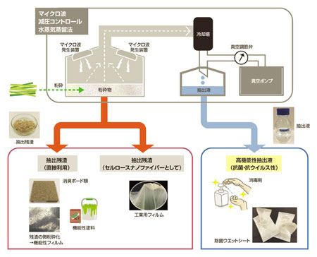 マイクロ波技術を起点とした竹の効率的な利用法