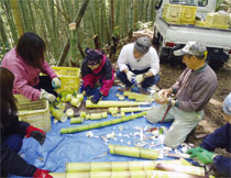 タケノコの乾燥作業の様子