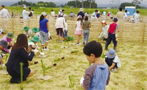 子どもたちによる植樹の様子