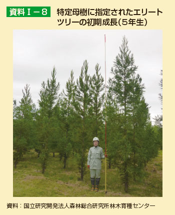 特定母樹に指定されたエリートツリーの初期成長（5年生）