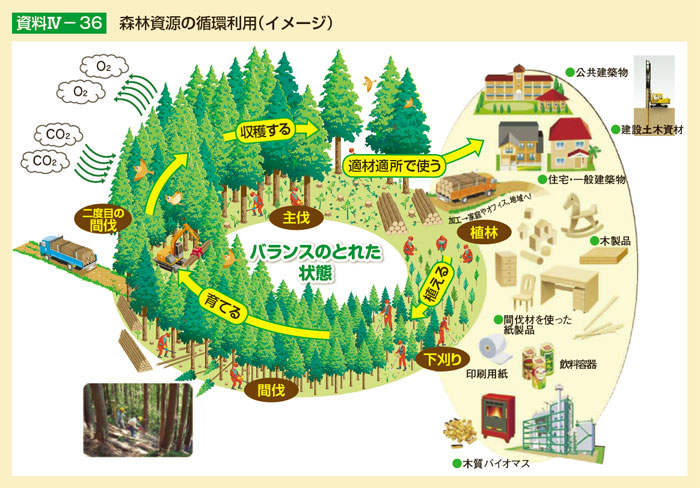 森林資源の循環利用（イメージ）