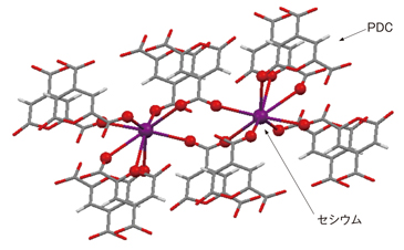 セシウムとPDCの錯体構造