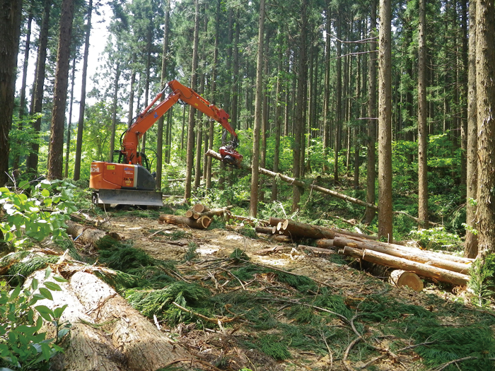 新たな森林管理システムの構築