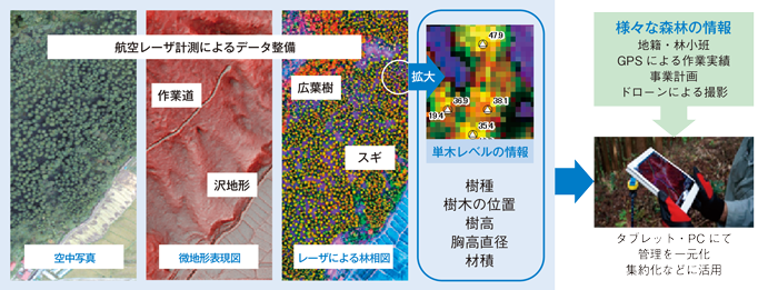 航空レーザ計測データを活用した施業集約化と林業経営の効率化の取組