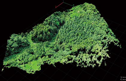 森林の3D解析画像