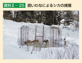 資料II-25 囲いわなによるシカの捕獲